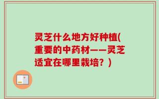 灵芝什么地方好种植(重要的中药材——灵芝适宜在哪里栽培？)