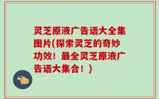 灵芝原液广告语大全集图片(探索灵芝的奇妙功效！最全灵芝原液广告语大集合！)