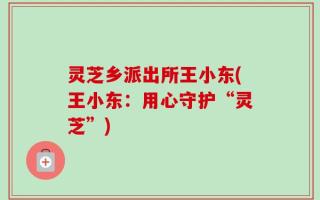 灵芝乡派出所王小东(王小东：用心守护“灵芝”)