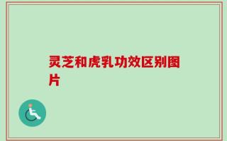 灵芝和虎乳功效区别图片
