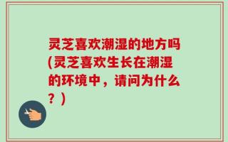 灵芝喜欢潮湿的地方吗(灵芝喜欢生长在潮湿的环境中，请问为什么？)
