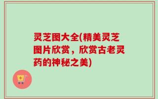 灵芝图大全(精美灵芝图片欣赏，欣赏古老灵药的神秘之美)