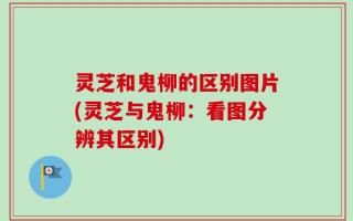 灵芝和鬼柳的区别图片(灵芝与鬼柳：看图分辨其区别)