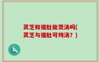 灵芝和猪肚能煲汤吗(灵芝与猪肚可炖汤？)