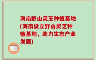 海南野山灵芝种植基地(海南设立野山灵芝种植基地，助力生态产业发展)