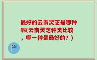 最好的云南灵芝是哪种呢(云南灵芝种类比较，哪一种是最好的？)