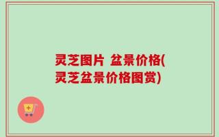 灵芝图片 盆景价格(灵芝盆景价格图赏)