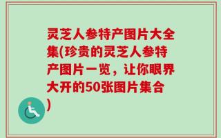 灵芝人参特产图片大全集(珍贵的灵芝人参特产图片一览，让你眼界大开的50张图片集合)