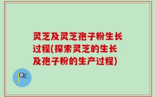 灵芝及灵芝孢子粉生长过程(探索灵芝的生长及孢子粉的生产过程)