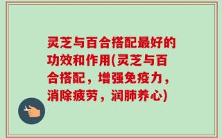 灵芝与百合搭配最好的功效和作用(灵芝与百合搭配，增强免疫力，消除疲劳，润肺养心)