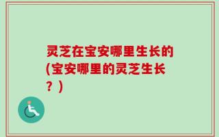灵芝在宝安哪里生长的(宝安哪里的灵芝生长？)