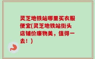 灵芝地铁站哪里买衣服便宜(灵芝地铁站街头店铺价廉物美，值得一去！)