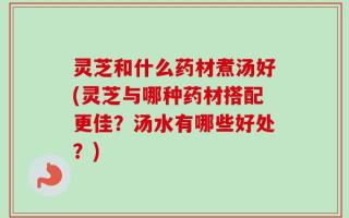 灵芝和什么药材煮汤好(灵芝与哪种药材搭配更佳？汤水有哪些好处？)