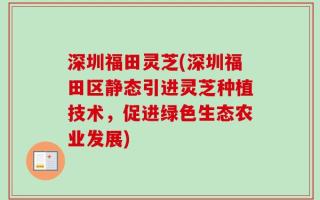 深圳福田灵芝(深圳福田区静态引进灵芝种植技术，促进绿色生态农业发展)