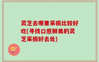 灵芝去哪里采摘比较好吃(寻找口感鲜美的灵芝采摘好去处)