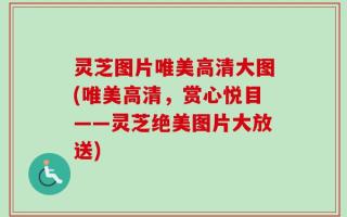灵芝图片唯美高清大图(唯美高清，赏心悦目——灵芝绝美图片大放送)