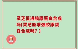灵芝促进胶原蛋白合成吗(灵芝能增强胶原蛋白合成吗？)