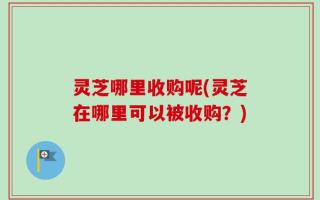 灵芝哪里收购呢(灵芝在哪里可以被收购？)