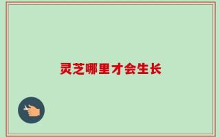 灵芝哪里才会生长