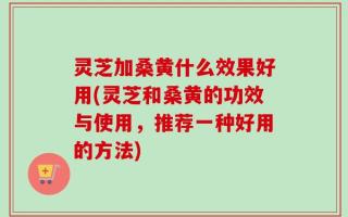 灵芝加桑黄什么效果好用(灵芝和桑黄的功效与使用，推荐一种好用的方法)