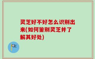 灵芝好不好怎么识别出来(如何鉴别灵芝并了解其好处)