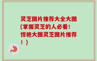 灵芝图片推荐大全大图(掌握灵芝的人必看！惊艳大图灵芝图片推荐！)