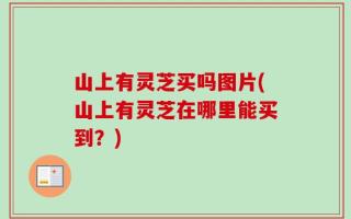 山上有灵芝买吗图片(山上有灵芝在哪里能买到？)
