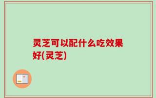 灵芝可以配什么吃效果好(灵芝)