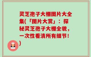 灵芝孢子大棚图片大全集(「图片大赏」：探秘灵芝孢子大棚全貌，一次性看清所有细节！)
