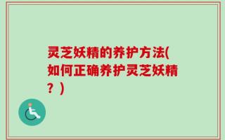 灵芝妖精的养护方法(如何正确养护灵芝妖精？)