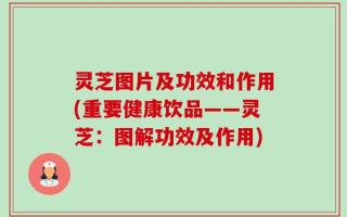灵芝图片及功效和作用(重要健康饮品——灵芝：图解功效及作用)