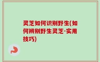 灵芝如何识别野生(如何辨别野生灵芝-实用技巧)