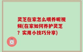 灵芝在家怎么喂养呢视频(在家如何养护灵芝？实用小技巧分享)