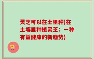 灵芝可以在土里种(在土壤里种植灵芝：一种有益健康的新趋势)