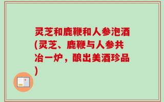 灵芝和鹿鞭和人参泡酒(灵芝、鹿鞭与人参共冶一炉，酿出美酒珍品)