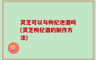 灵芝可以与枸杞泡酒吗(灵芝枸杞酒的制作方法)