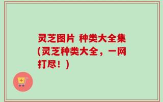 灵芝图片 种类大全集(灵芝种类大全，一网打尽！)