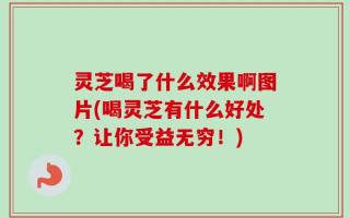 灵芝喝了什么效果啊图片(喝灵芝有什么好处？让你受益无穷！)