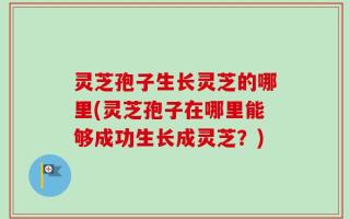 灵芝孢子生长灵芝的哪里(灵芝孢子在哪里能够成功生长成灵芝？)