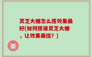 灵芝大棚怎么搭效果最好(如何搭建灵芝大棚，让效果最佳？)
