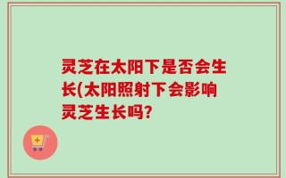 灵芝在太阳下是否会生长(太阳照射下会影响灵芝生长吗？