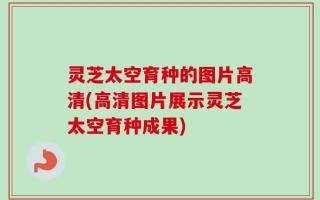 灵芝太空育种的图片高清(高清图片展示灵芝太空育种成果)