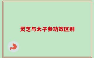 灵芝与太子参功效区别