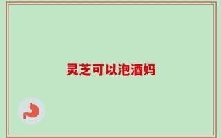 灵芝可以泡酒妈