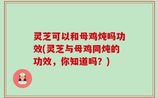 灵芝可以和母鸡炖吗功效(灵芝与母鸡同炖的功效，你知道吗？)