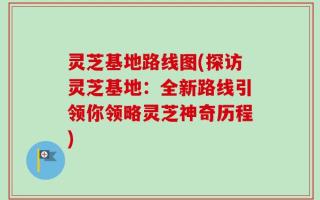 灵芝基地路线图(探访灵芝基地：全新路线引领你领略灵芝神奇历程)