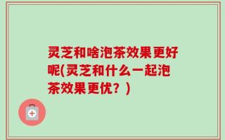 灵芝和啥泡茶效果更好呢(灵芝和什么一起泡茶效果更优？)