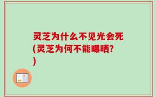 灵芝为什么不见光会死(灵芝为何不能曝晒？)