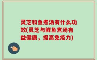 灵芝和鱼煮汤有什么功效(灵芝与鲜鱼煮汤有益健康，提高免疫力)