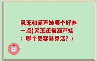 灵芝和葫芦娃哪个好养一点(灵芝还是葫芦娃：哪个更容易养活？)